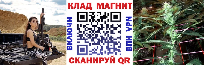 Где можно купить наркотики Десногорск Псилоцибиновые грибы  КОКАИН  Меф мяу мяу  Канабис  ГАШИШ 