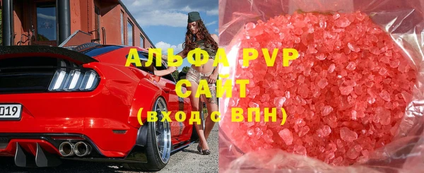 сатива Аркадак