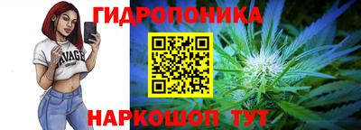 spice Бийск