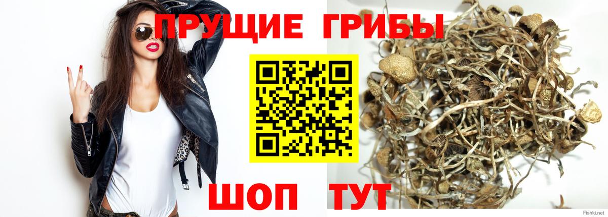Псилоцибиновые грибы ЛСД  Вход с VPN  где можно купить   Десногорск 